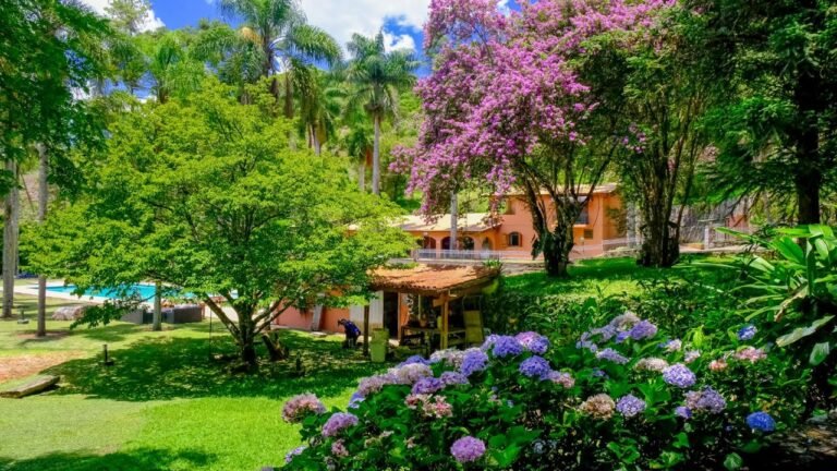 WhatsApp Image 2026-02-09 at 9.53.38 AM (19)