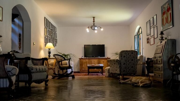 WhatsApp Image 2026-02-09 at 9.53.38 AM (2)