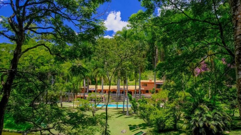 WhatsApp Image 2026-02-09 at 9.53.38 AM (20)