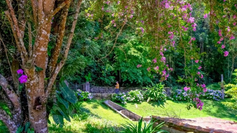 WhatsApp Image 2026-02-09 at 9.53.38 AM (30)