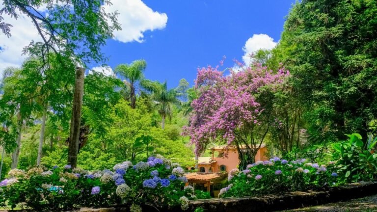 WhatsApp Image 2026-02-09 at 9.53.38 AM (34)