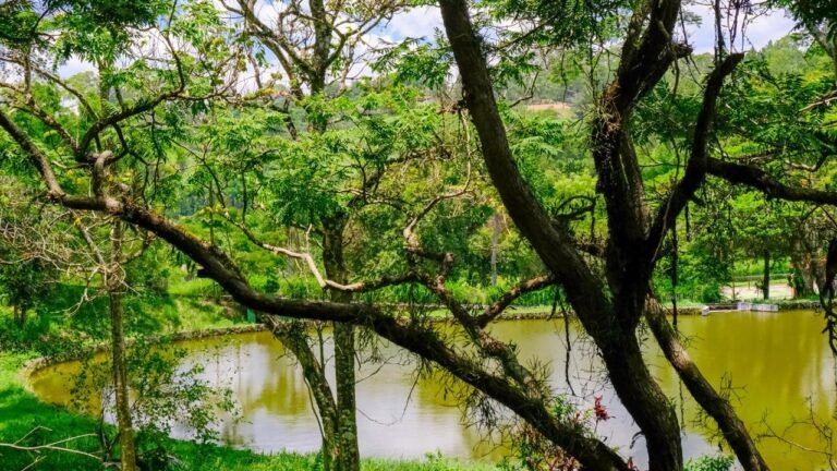 WhatsApp Image 2026-02-09 at 9.53.38 AM (35)