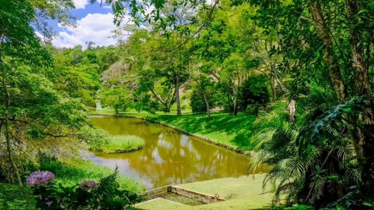 WhatsApp Image 2026-02-09 at 9.53.38 AM (36)