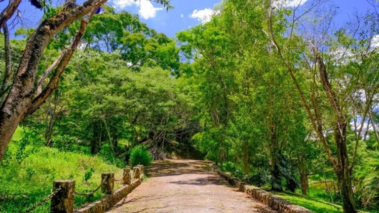 WhatsApp Image 2026-02-09 at 9.53.38 AM (37)