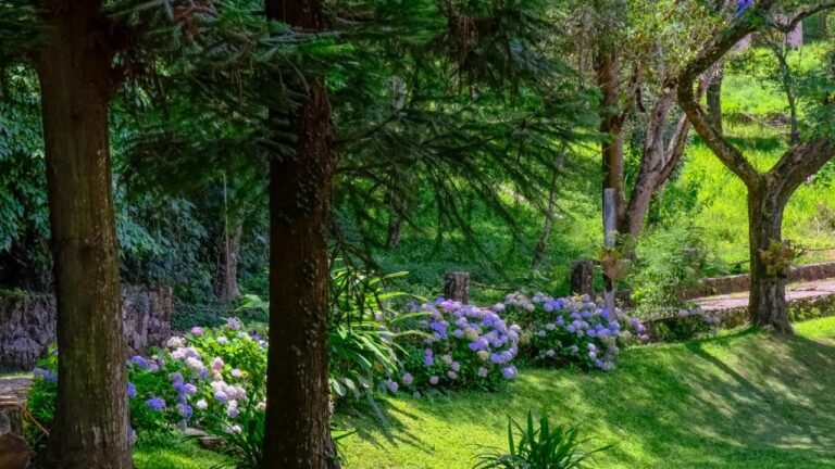 WhatsApp Image 2026-02-09 at 9.53.38 AM (38)