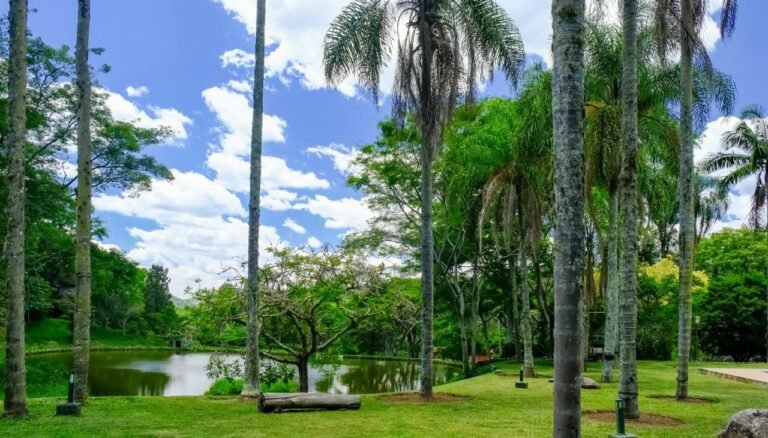 WhatsApp Image 2026-02-09 at 9.53.38 AM (39)