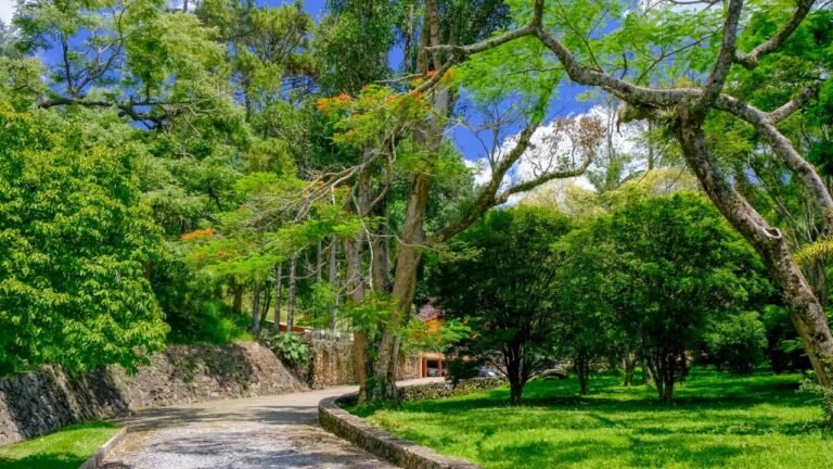 WhatsApp Image 2026-02-09 at 9.53.38 AM (40)