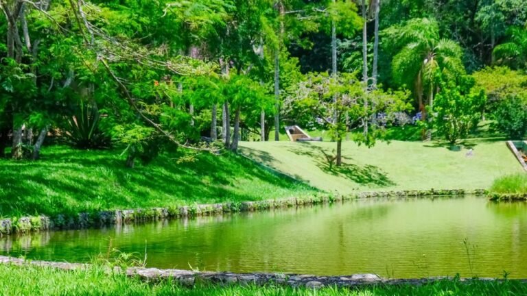 WhatsApp Image 2026-02-09 at 9.53.38 AM (41)