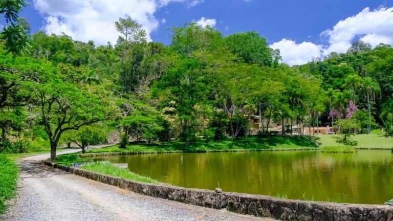 WhatsApp Image 2026-02-09 at 9.53.38 AM (42)