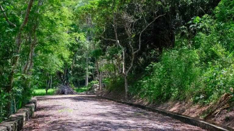 WhatsApp Image 2026-02-09 at 9.53.38 AM (43)