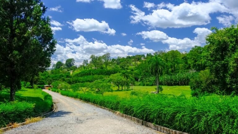 WhatsApp Image 2026-02-09 at 9.53.38 AM (44)