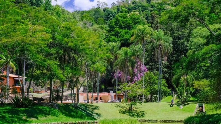 WhatsApp Image 2026-02-09 at 9.53.38 AM (46)